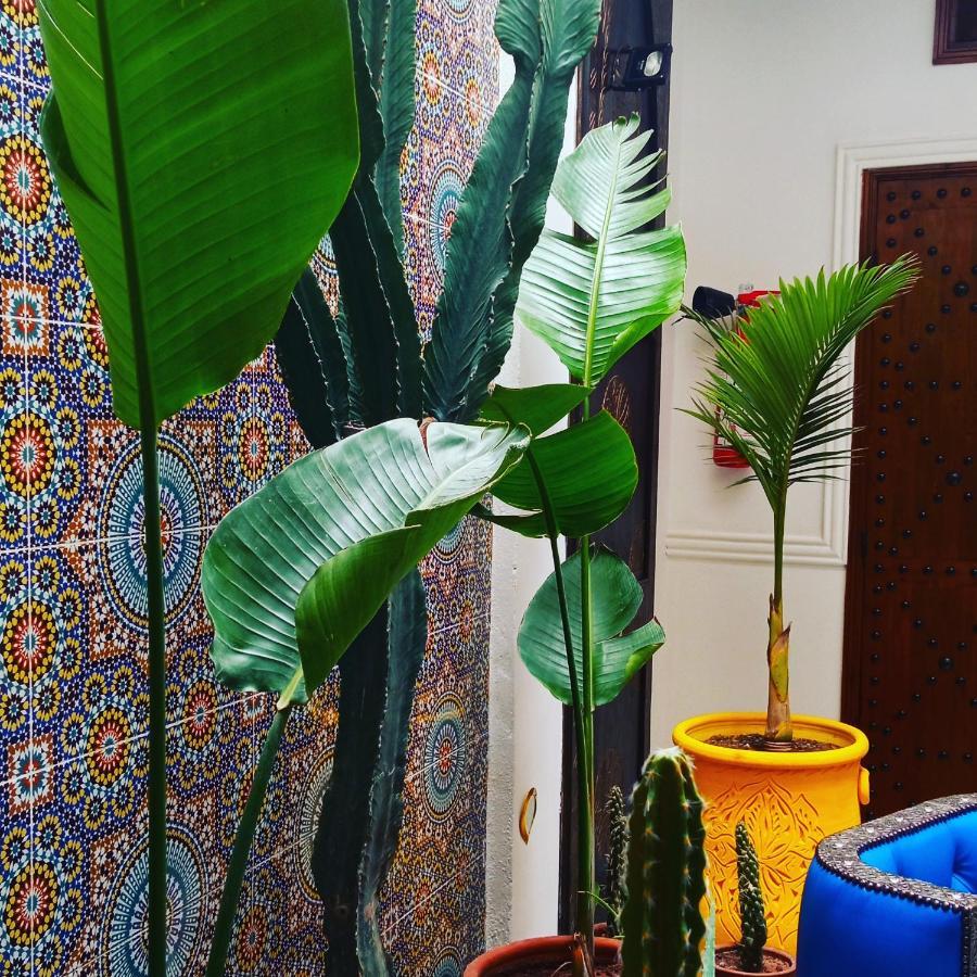 Riad Heklek マラケシュ エクステリア 写真
